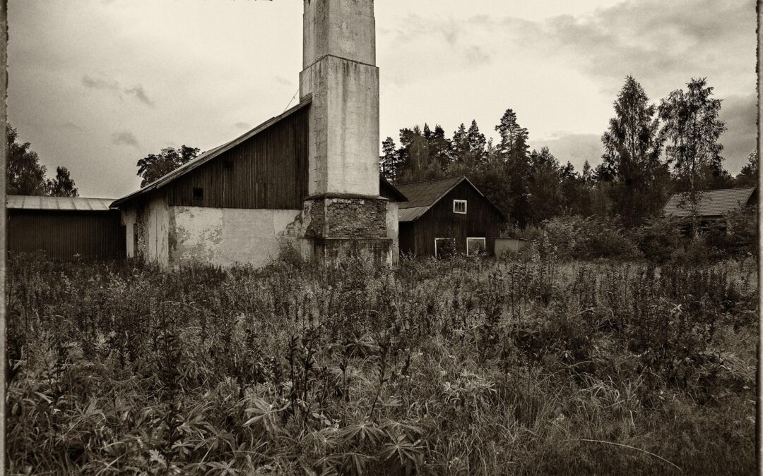 Björnhammaren 2015