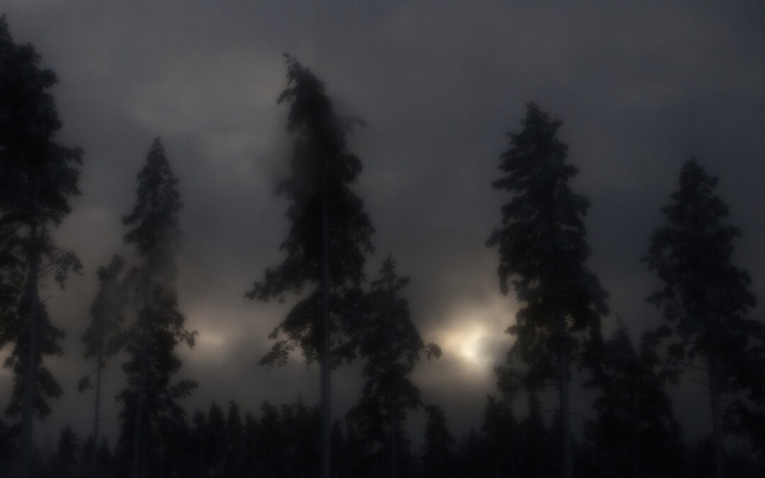 C F Hill i snö